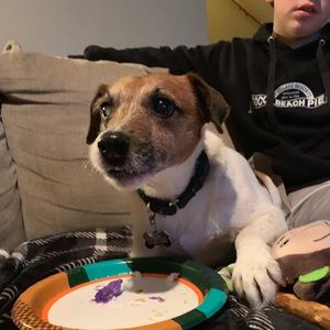 Meet your Posher, Lee